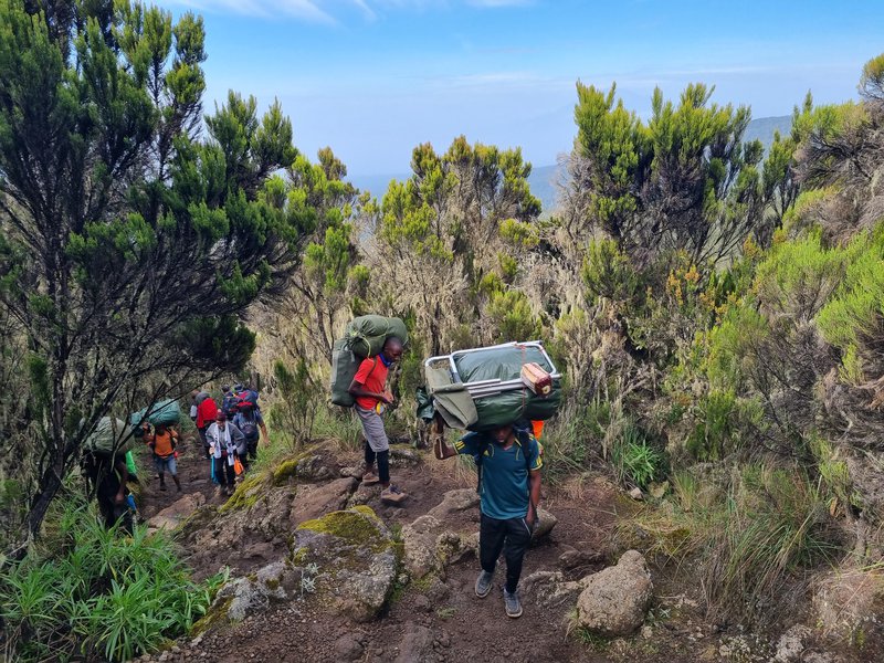 Kilimanjaro_21