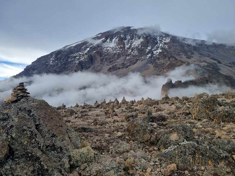 Kilimanjaro_9